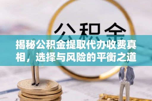 湛河揭秘公积金提取代办收费真相，选择与风险的平衡之道