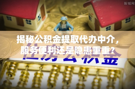 湛河揭秘公积金提取代办中介，服务便利还是隐患重重？