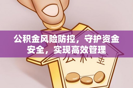 湛河公积金风险防控，守护资金安全，实现高效管理