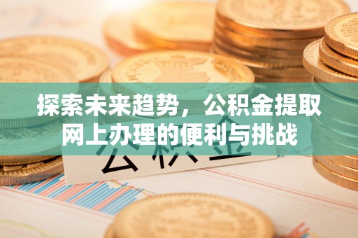 湛河探索未来趋势，公积金提取网上办理的便利与挑战