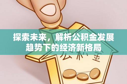 湛河探索未来，解析公积金发展趋势下的经济新格局
