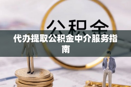湛河代办提取公积金中介服务指南