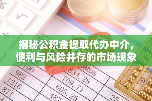 湛河揭秘公积金提取代办中介，便利与风险并存的市场现象