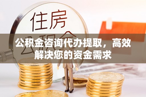 湛河公积金咨询代办提取，高效解决您的资金需求