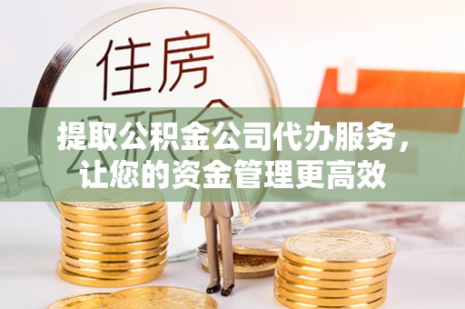 湛河提取公积金公司代办服务，让您的资金管理更高效