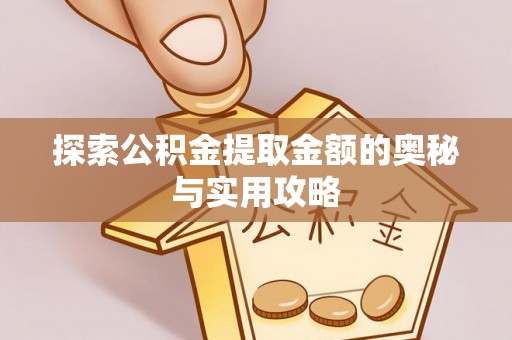 湛河探索公积金提取金额的奥秘与实用攻略
