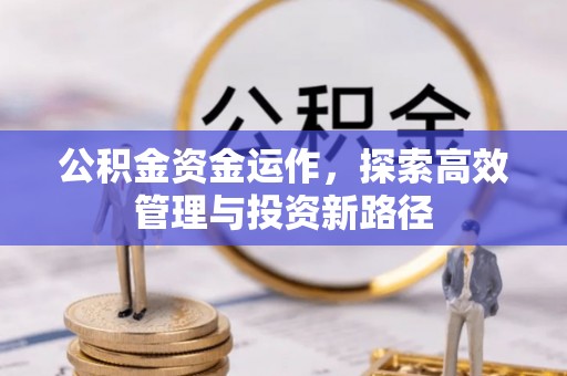 湛河公积金资金运作，探索高效管理与投资新路径