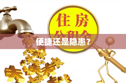 湛河便捷还是隐患？