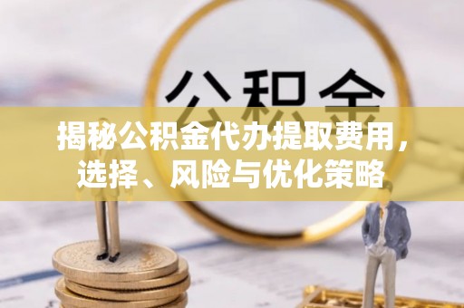 湛河揭秘公积金代办提取费用，选择、风险与优化策略