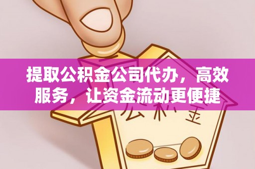 湛河提取公积金公司代办，高效服务，让资金流动更便捷