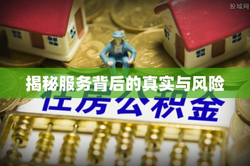 湛河揭秘服务背后的真实与风险