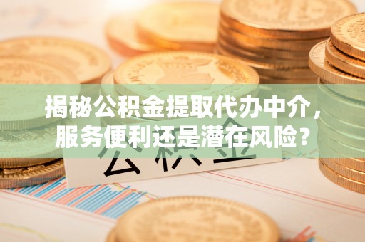 湛河揭秘公积金提取代办中介，服务便利还是潜在风险？