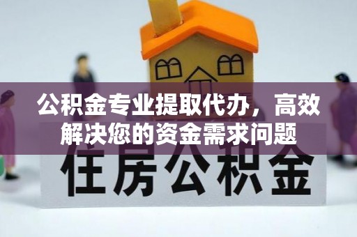 湛河公积金专业提取代办，高效解决您的资金需求问题