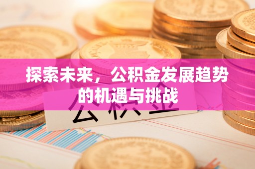 湛河探索未来，公积金发展趋势的机遇与挑战