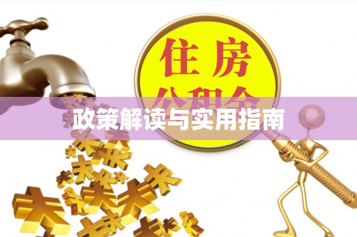湛河政策解读与实用指南