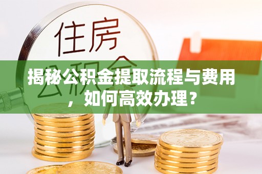 湛河揭秘公积金提取流程与费用，如何高效办理？