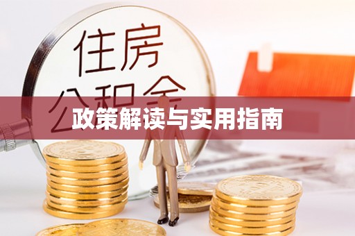 湛河政策解读与实用指南