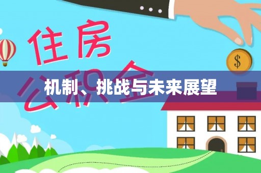 湛河机制、挑战与未来展望