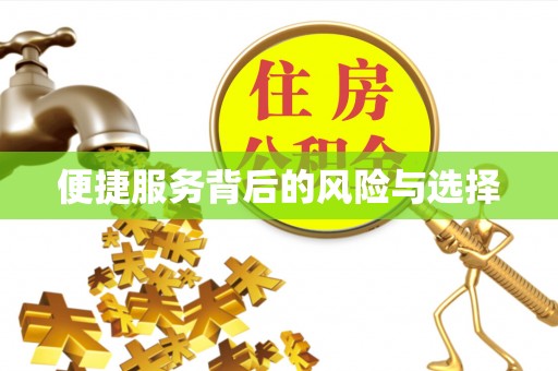 湛河便捷服务背后的风险与选择
