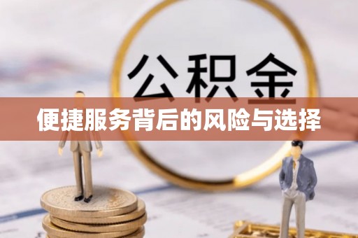 湛河便捷服务背后的风险与选择