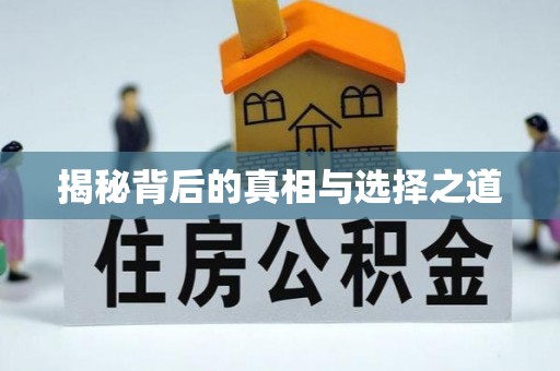 湛河揭秘背后的真相与选择之道