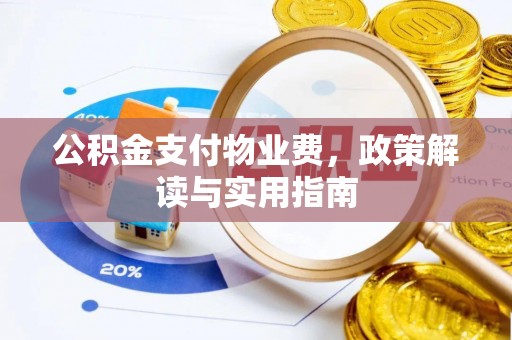湛河公积金支付物业费，政策解读与实用指南
