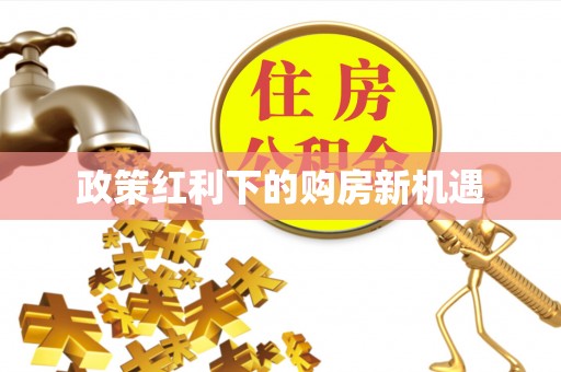 湛河政策红利下的购房新机遇